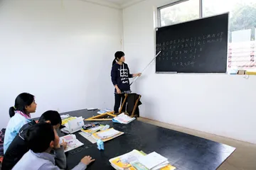 绿色方舟农场：寻找“共生”的可能2