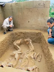寨头河——探寻戎人的最后足迹3