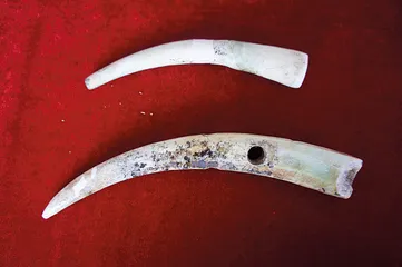 寨头河——探寻戎人的最后足迹4