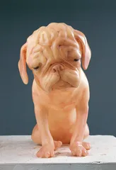 处境和异境1