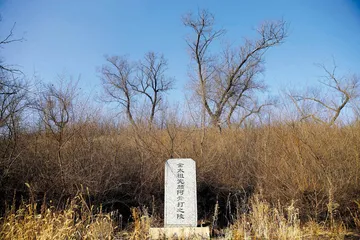 “盗墓”风波下的“和陵”之疑1