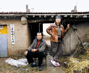 脆弱的土豆