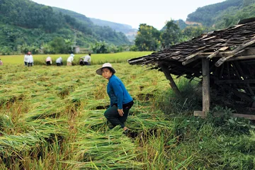 走进佤邦：全球化时代的山寨社会2
