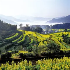 婺源景区风波：村庄蜕变10年记2