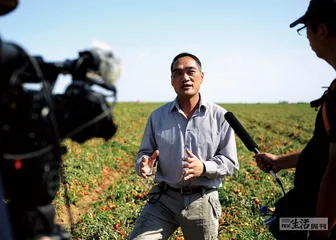 可持续的门槛与联合利华的中国样本
