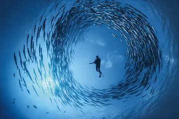 深海的诱惑