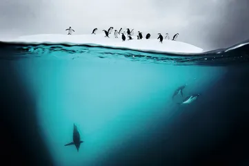 深海的诱惑3