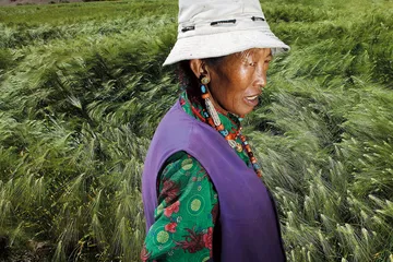 普兰：神山脚下的现世生活7