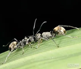 好消息·坏消息（642）3