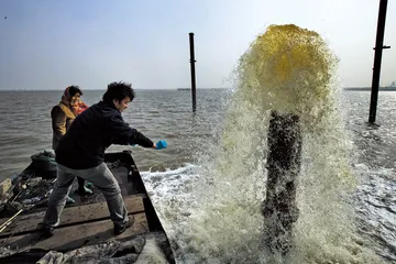 谁来制约化工业？1