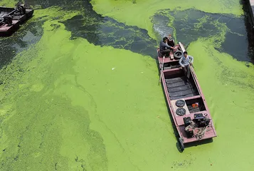 磷的问题2