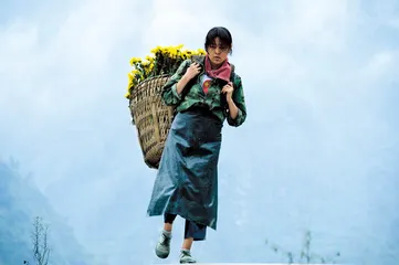 倪萍：我内心很孤独1