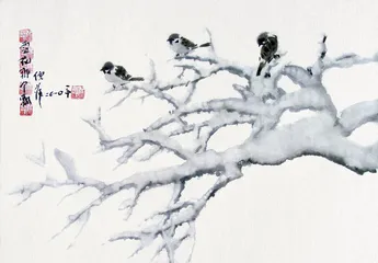 倪萍：我内心很孤独2