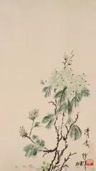 倪萍：我内心很孤独3