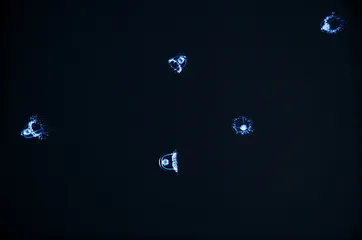 可以戏剧，可以诗意，也可以……11