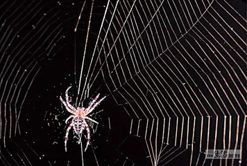 好消息·坏消息（639）2