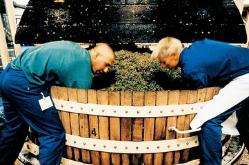 就像感性酿入理性