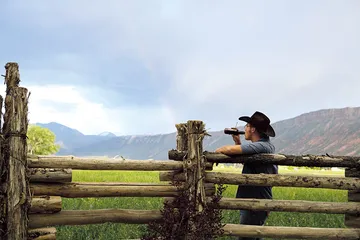 啤酒流派