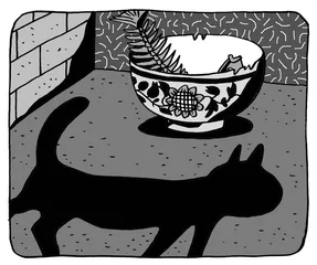 猫在叫