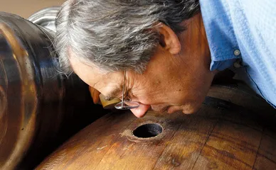 在后院酿啤酒