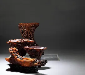 一个家族的旅程