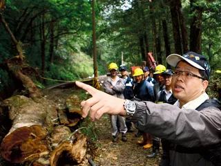 阿里山“4·27”翻车悲剧： 森林与小火车的相互侵害1