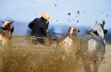氮的问题