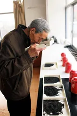 寻找“祁门香”的漫长旅程1