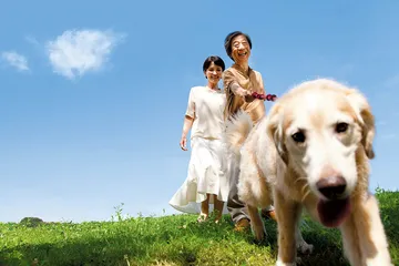 狗是人类最好的朋友