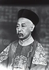 末世摄政王载沣的角色1