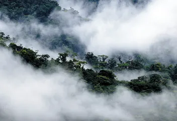 哥斯达黎加，小国寡民的幸福生活2