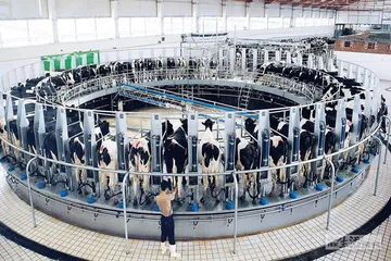 乳业整合与蒙牛的IMILK尝试