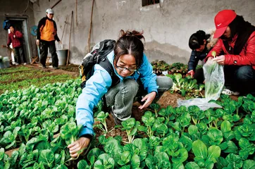 小毛驴农场和“新农夫运动”