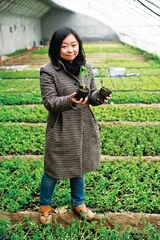 小毛驴农场和“新农夫运动”2