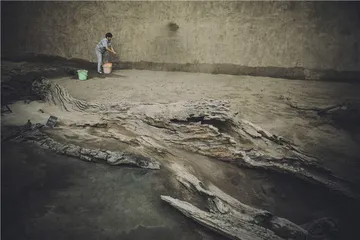 金沙遗址，继起的新中心