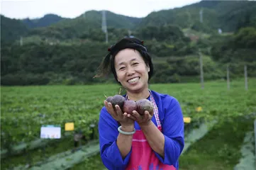 榕江脱贫：搬离大山后的新生活8