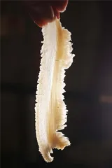 自贡美食的密码4