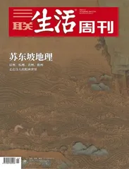 主编推荐语｜曾焱