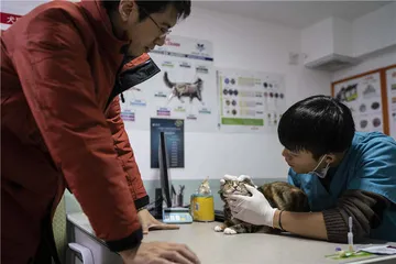 我们能借多少钱?7