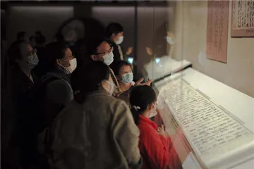 在书画真迹中，感知苏轼的精神世界