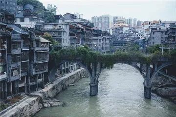 刺伤霸凌者：校园里的“隐秘世界”2