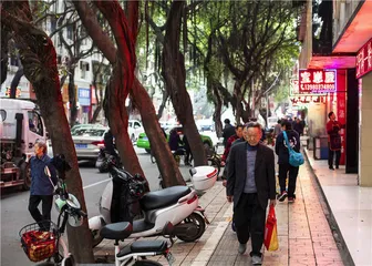 眉州：夜来幽梦忽还乡8