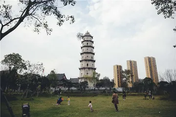 漫长的讨论：重修应县木塔的权利2