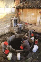 豆腐和它的亲戚们2