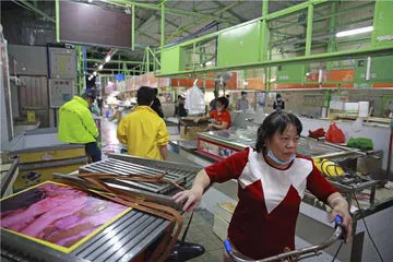 消失的联结：一个城市菜市场的命运2
