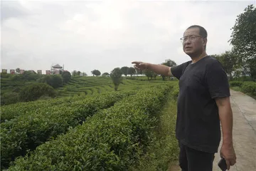 昭平脱贫：脚踏实地的道路探索2