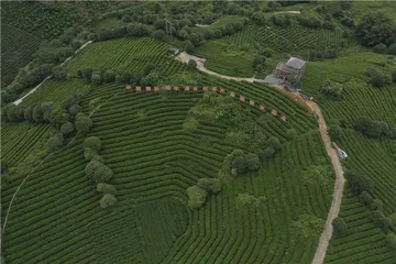 昭平脱贫：脚踏实地的道路探索4