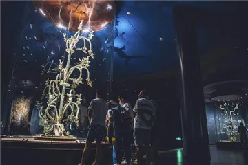 最美三星堆