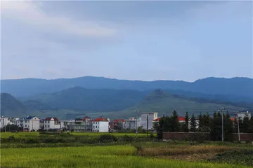 申诉54年：一起找不到“受害者”的案件5