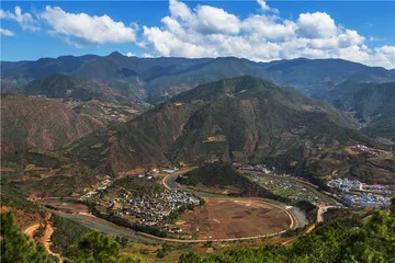 云龙脱贫记：能人、物产与山村